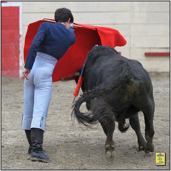 DIAPORAMA DE LA FAENA DE SERGIO PAEZ