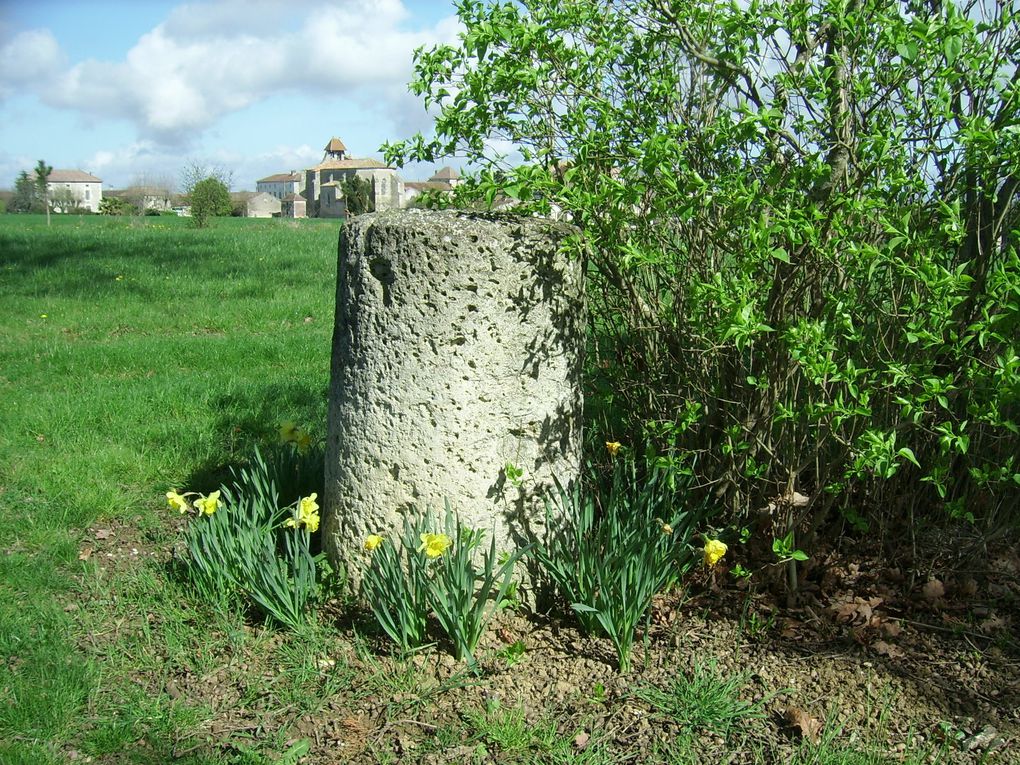 Album - La-maison