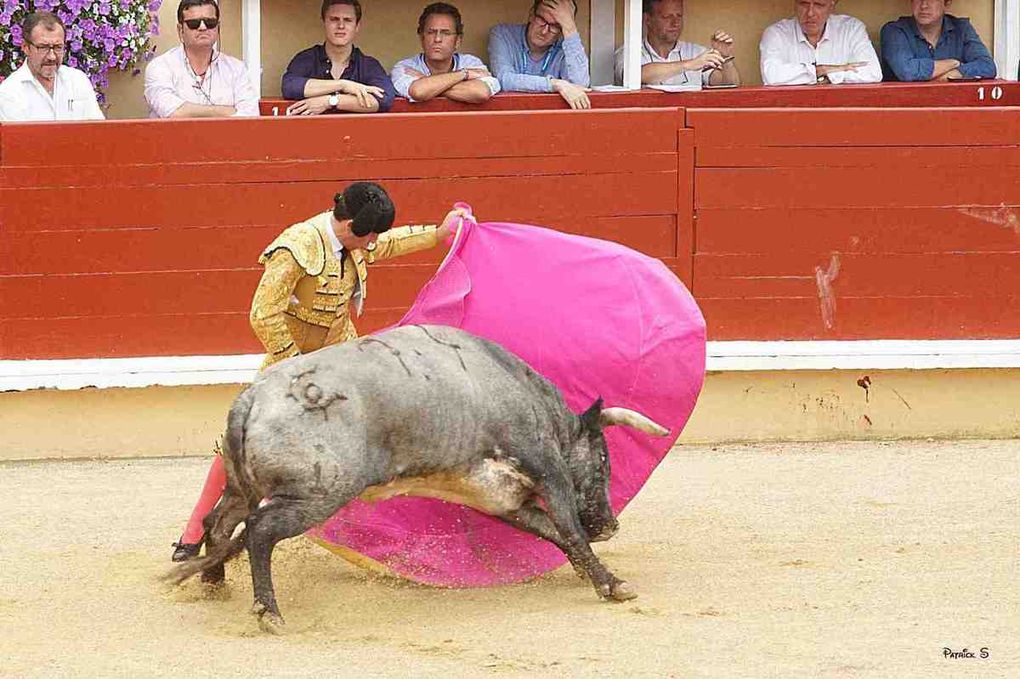 Pour le diaporama en plein écan, cliquez sur la photo du fer de la ganaderi en tête d'article.