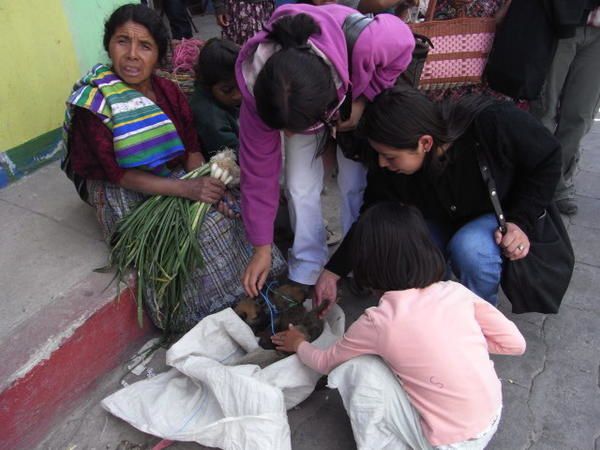 Album - guatemala