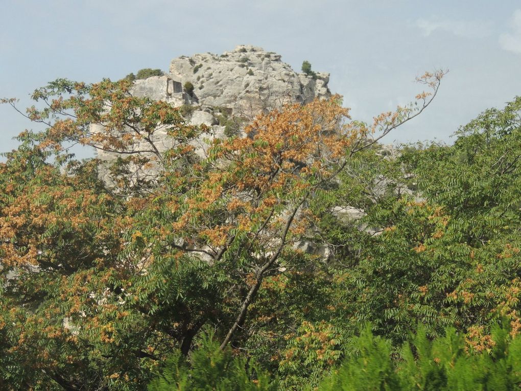 Le voyage dans le Lubéron (suite)