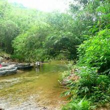 SEMENGOH MALAISIE BORNEO