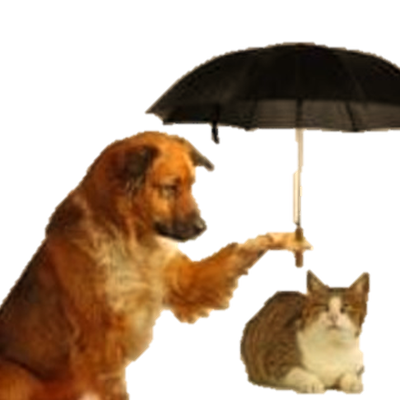 Le billet du dimanche.........