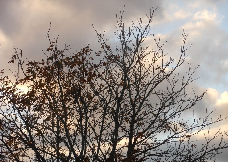 LUMIERES ET COULEURS DU MORVAN....automne 2013