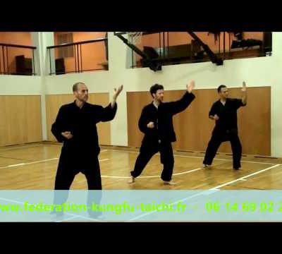 4 -.  VIDÉOS TAICHI QIGONG KUNGFU.