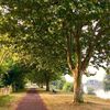 Montmerle sur Saône:Postez Vos Photographies(mise à jour avril 2019 )