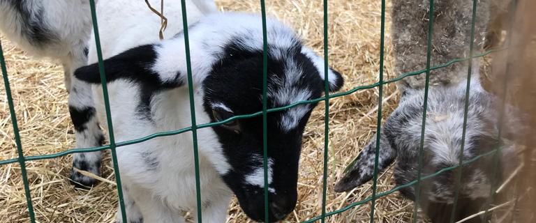 Retour en images sur la sortie à Mouton Village