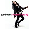 Sandy Thom | The pink & the Lily, nouvel album