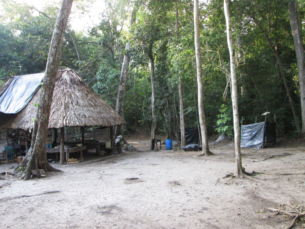 Album - coban-flores-tikal