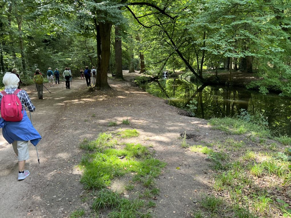 Marche nordique au bois de Vincennes.