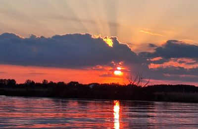 Découvrez la beauté naturelle du lac Tisza