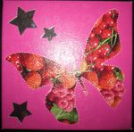0241 - papillon fruits