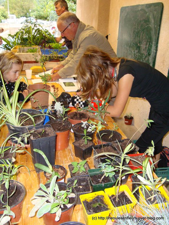 S'échanger des graines, des plants, des boutures, des savoir-faire...Et passer un bon moment ensemble. Troc aux plantes de "Néoules en fleurs" (10/10/2010)