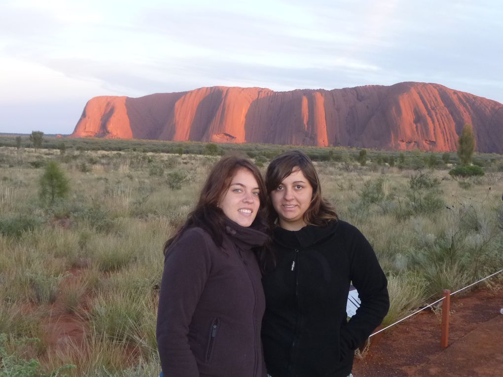 Album - Roadtrip-zum-ULURU-via-Great-Ocean-Road