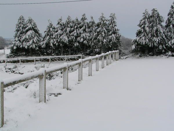 Album - Terrain sous la neige mars 2006