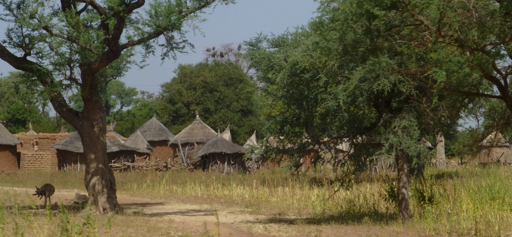 Burkina Faso- Maroc kenya