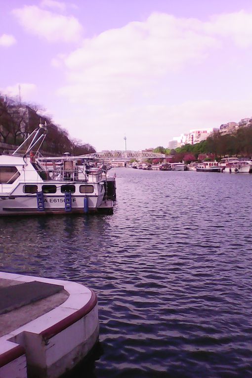 Balade au port de l'Arsenal