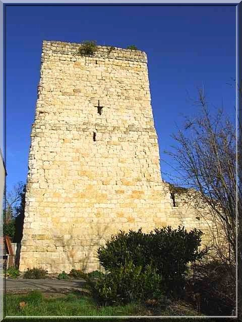Château de BEZOLLES Château féodal et ruine médiévale