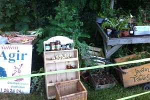 Troc de plantes Roubaix au jardin de traverse