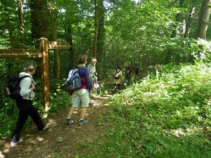 Les Bois de Montéclin - un pied dans le 78 et l'autre dans le 91 !