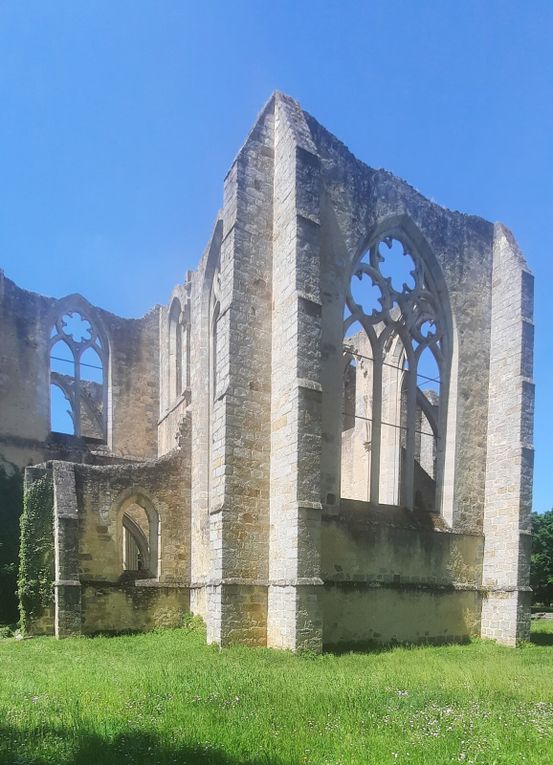 Photos randonnée Dammarie les Lys