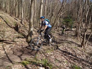 Nous prenons le magnifique sentier GR5 qui nous conduit à proximité de Thannenkirch.