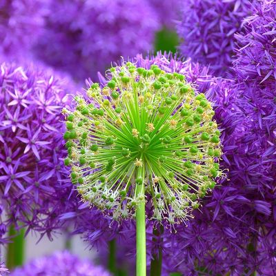 Quand la légitimité s’installe sans prévenir