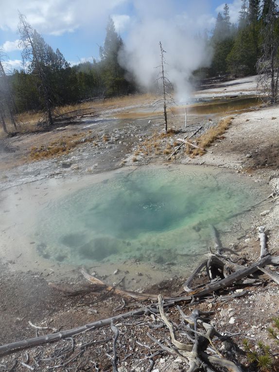 Album - 15.Yellowstone (Wyoming-octobre)