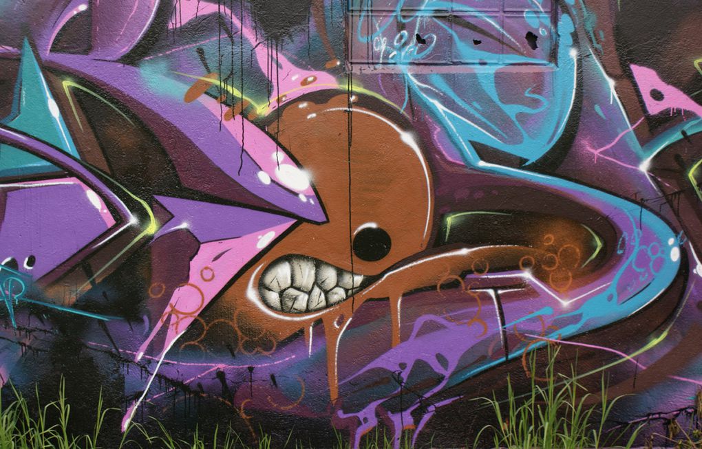 Album - Graffitis Noisy le Grand Tom 001