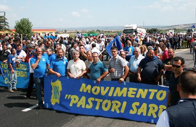 Il peso economico della pastorizia in sardegna spiegato dal Movimento Pastori Sardi. Sono questi forse i motivi per cui, stranamente, ogni tanto si affacciano delle malattie ed il bestiame muore ?