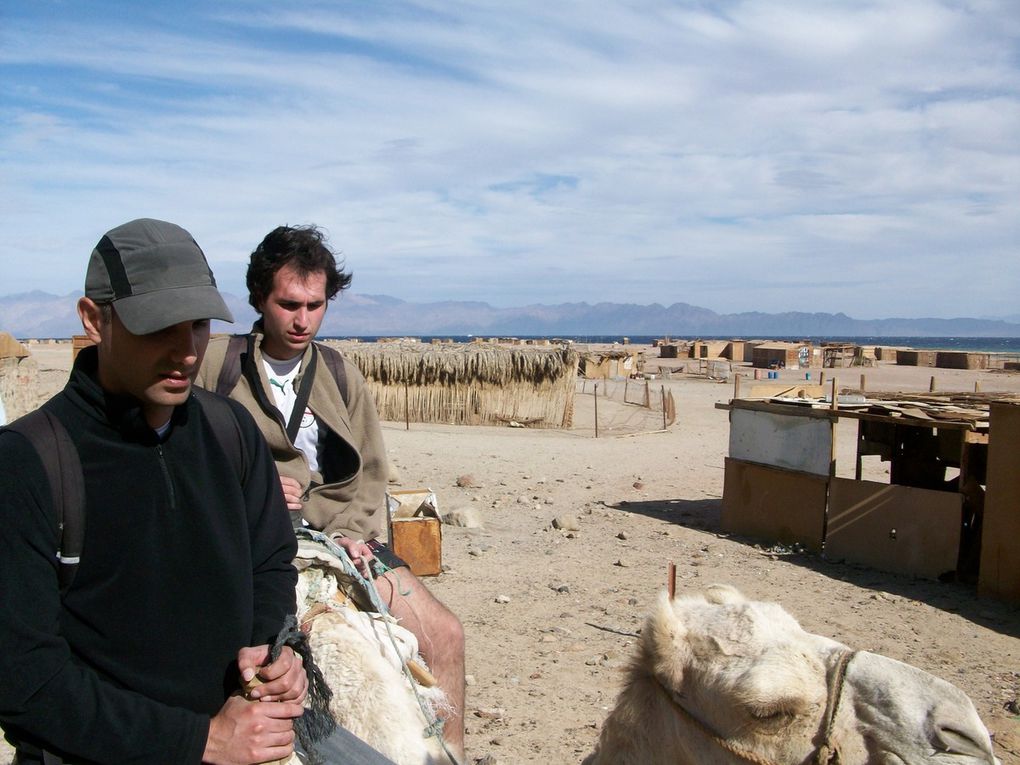 Dahab, Ras Abu Galum and Castle Zaman