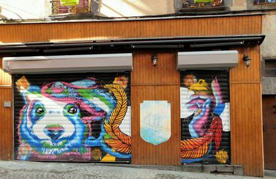Arts' Street à Jaude (Clermont-Ferrand) (6 photos)
