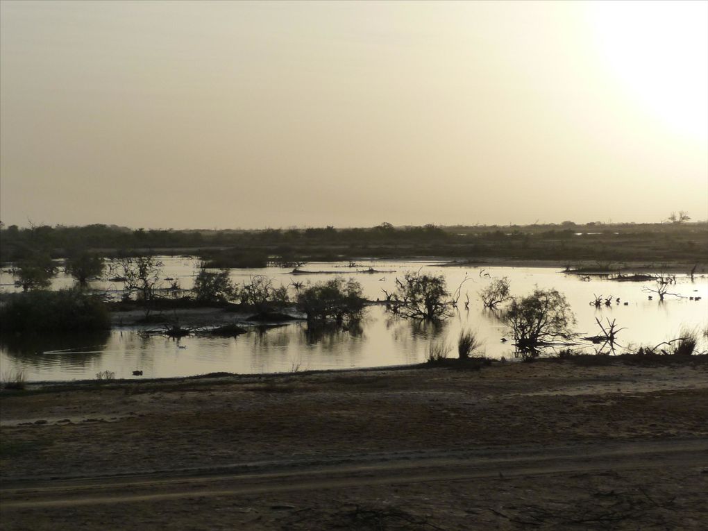 Vacances janvier 2012 de Dakar à Podor