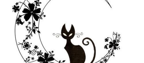 LA CHANSON DES ARISTOCHATS