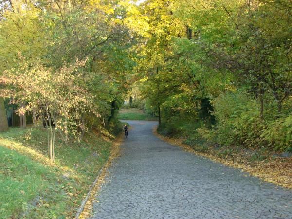 Impressionen von Jena vom Landgrafen aus