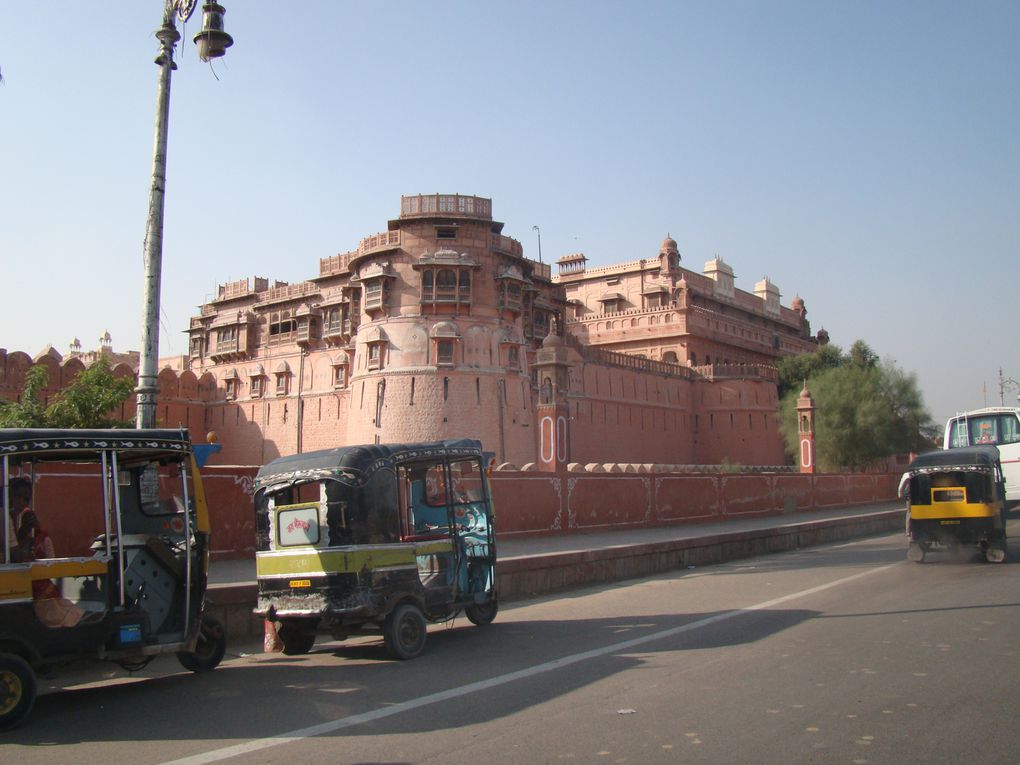 Novembre 2008 retour 15 ans après. Delhi - retour dans la vallée de Parvati en Himachal Pradesh, Manikaran et Pulga.
Dharamsala, Rishikech, Le Rajasthan, Agra, Khajurao, Bénarès/Varanasi.