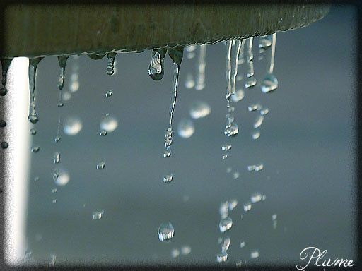 Album - D'eau et de Lumière