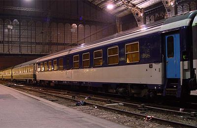 Covid-19 : Et j'entends siffler le train de la connerie Française , celui du TGV Sanitaire . 