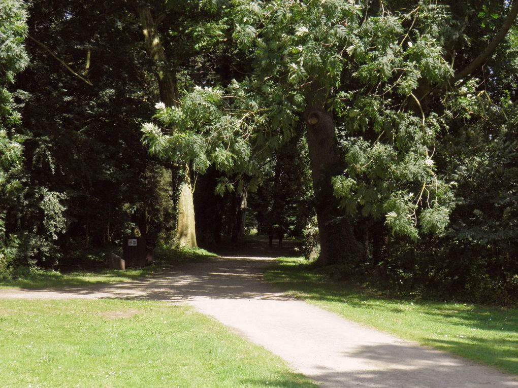 Promenade nature au Domaine provincial d'Hélécine - Hesbaye.