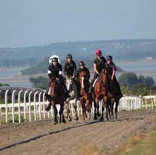 Formation de cavalier de pré-entrainement et d'entrainement en Normandie