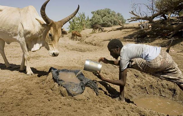 Situation alimentaire(Kenya, Somalie, Ethiopie etc..) : Dans la Corne de l'Afrique, la sécheresse menace 13 millions de personnes
