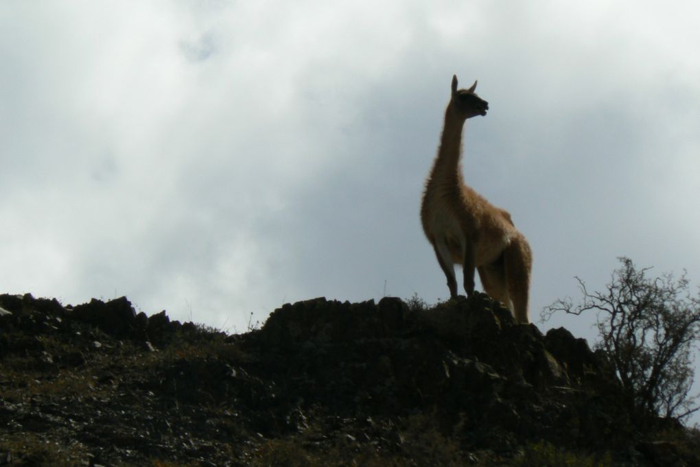 Mendoza, Córdoba, Alta Gracia, Salta et environs...