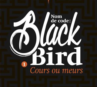 Nom de code : Black Bird T.1 Cours ou Meurs - Anna Carey-