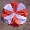 Fleur origami ( modulaire )