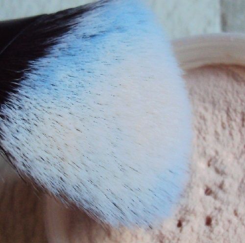 Triangle Artist powder brush de Catrice
