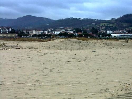 Ce qu'il reste des dunes a hendaye 
après trois ans de tempêtes dont klaus ainsi que des meules de foins 