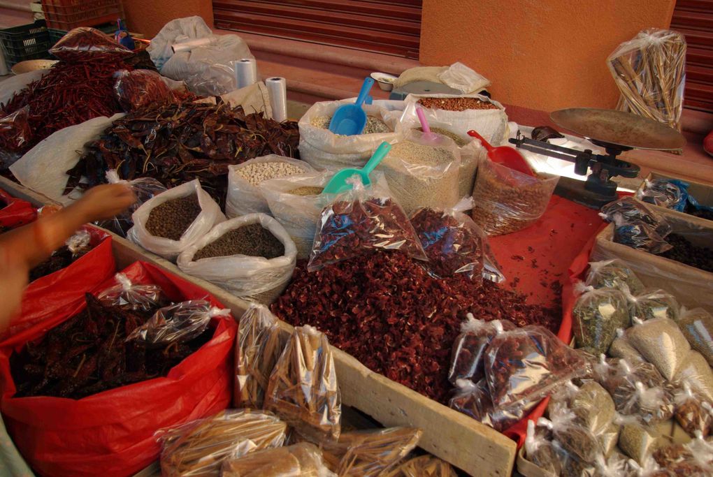 A une heure de bus de Oaxaca, immense marché indien le dimanche, tous nos sens sont en éveil!