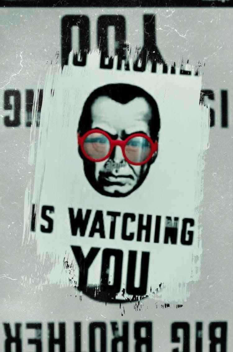 The Big Brother is Watching You