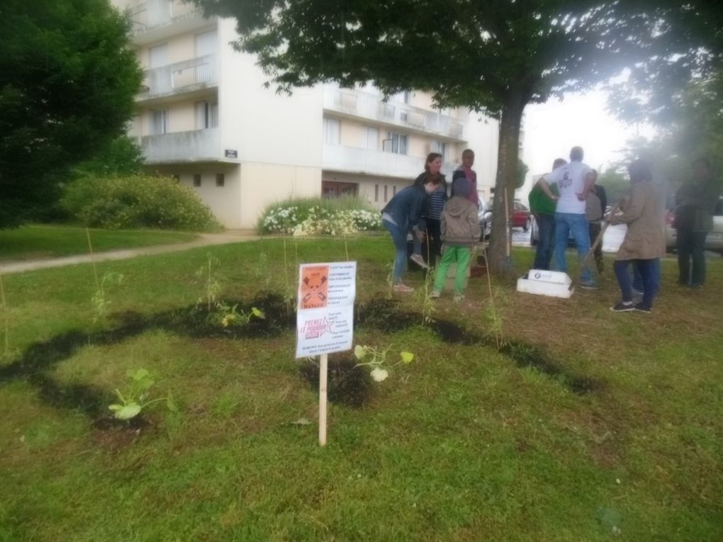 Action Front de Gauche du 30 mai: « Plutôt que d’éradiquer les herbes folles démocratisons la ratatouille »