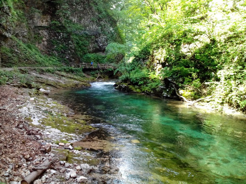 Les gorges de Vintgar